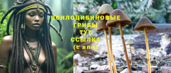 дурь Вязники