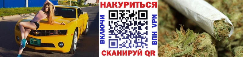 наркотики  Александровское  Канабис тримм 